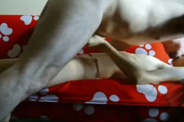 Bokep Jilbab Ukhti Ganas Anak Pesantren